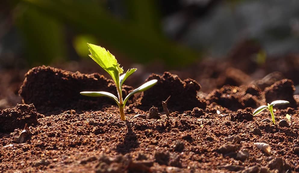 TEMA’dan erozyon uyarısı!