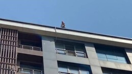 Otelin çatısından atlamak istedi