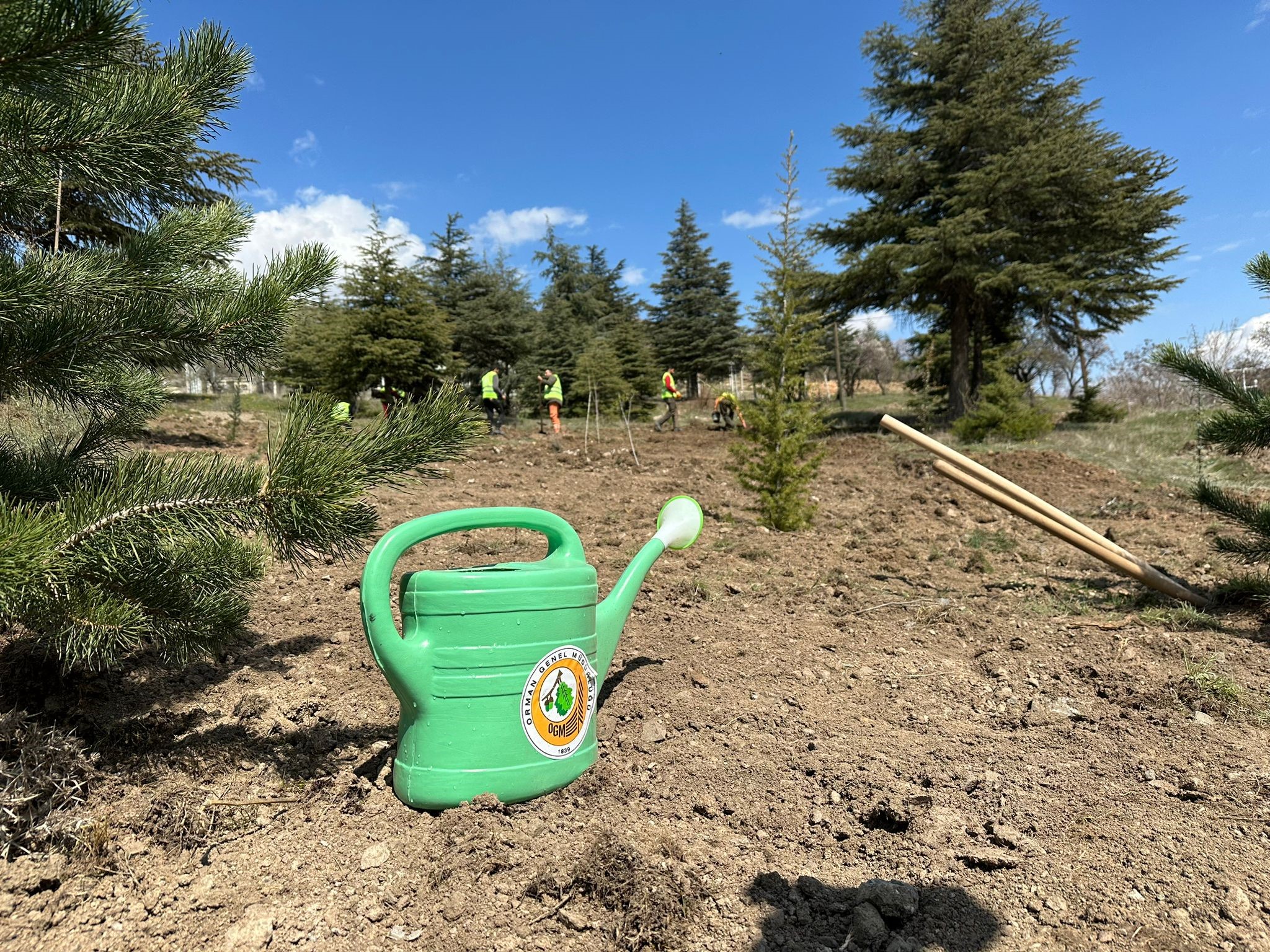 ‘Deprem Şehitleri Hatıra Ormanı’ oluşturuldu