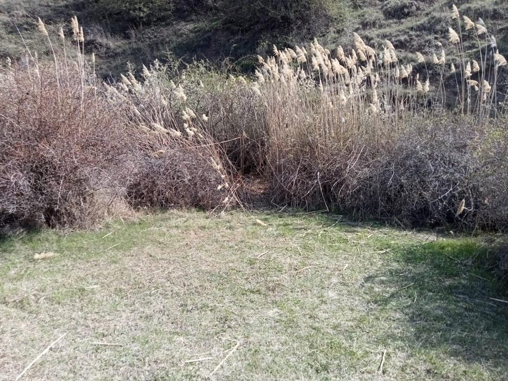 Kafası koparılmış 45 günlük ceset !