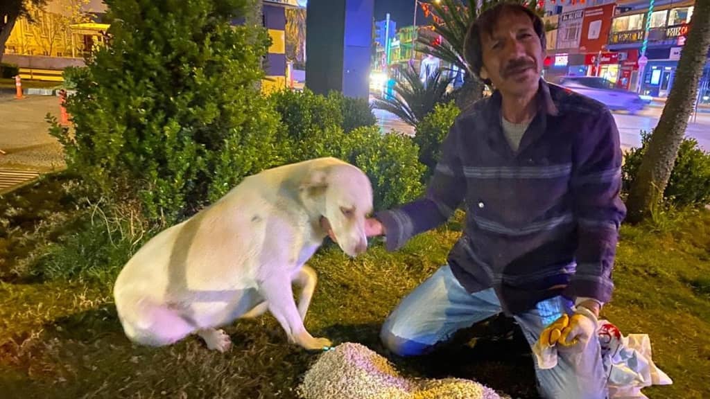 Hurda toplayarak geçimin sağlayan adamın sokak köpeği şefkati