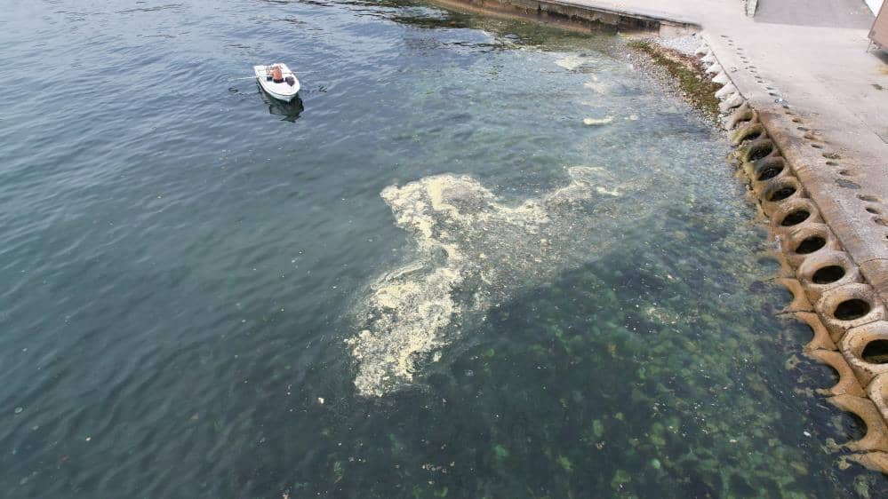 Marmara denizinde korkutan görüntü