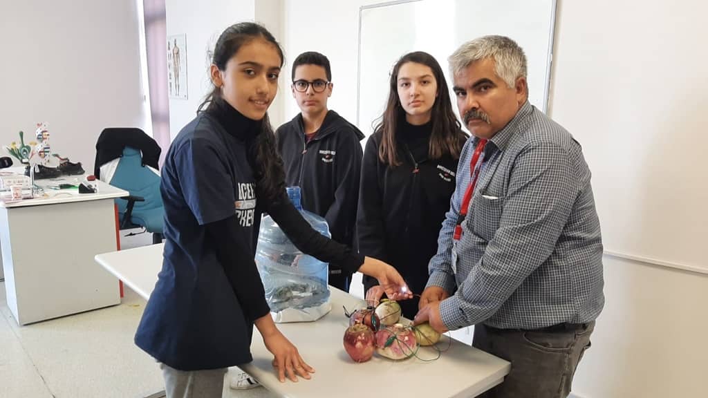 Turptan elektrik ürettiler