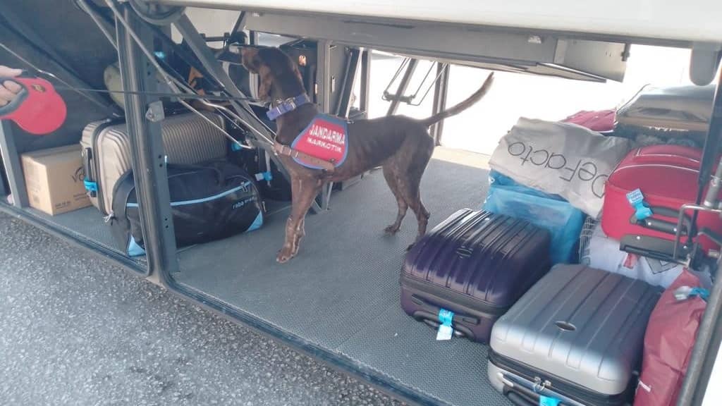 Uyuşturucu operasyonlarında 15 kişi tutuklandı