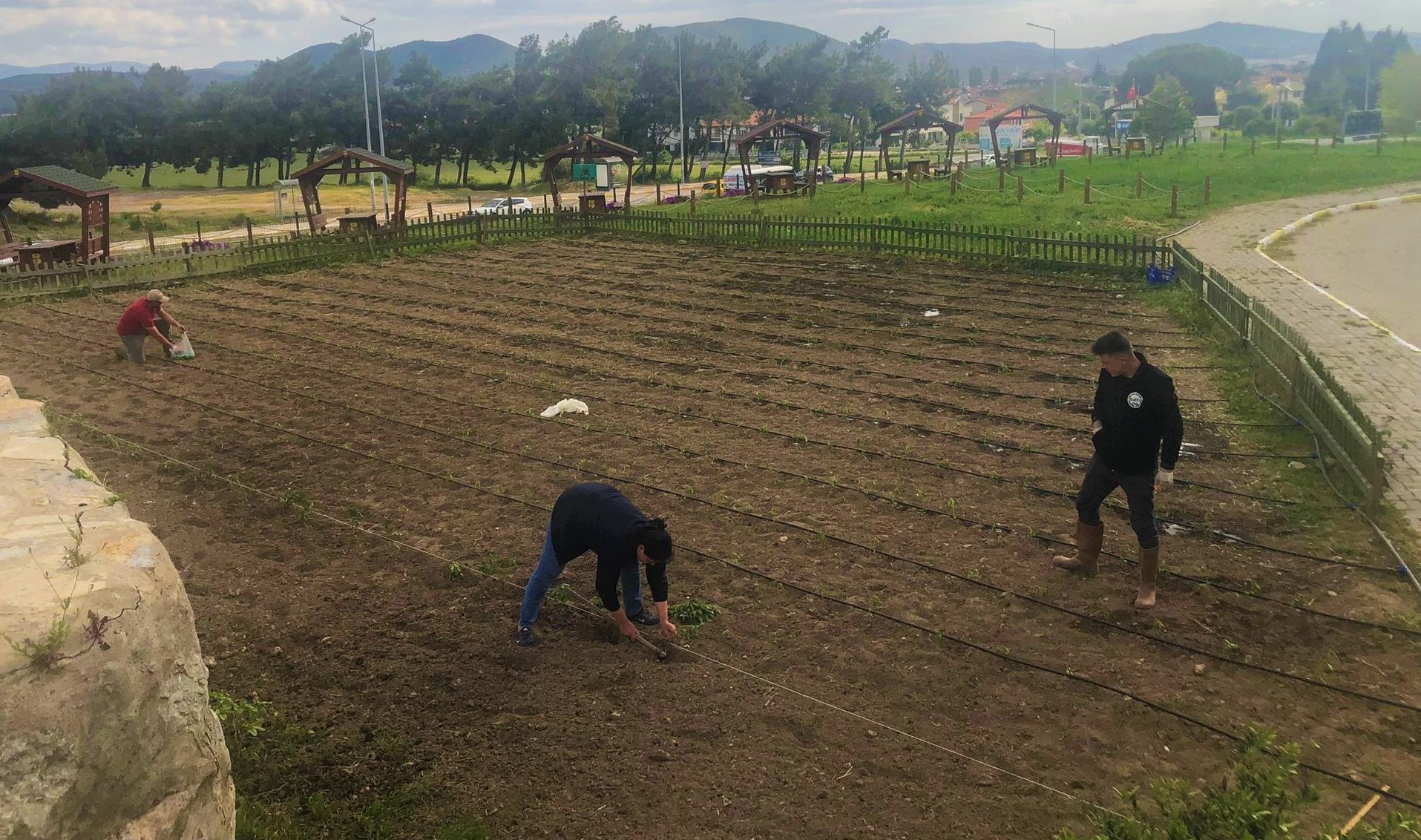 Bahçeden meyve sebzeyi kendileri toplayacaklar