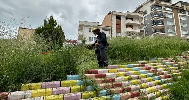 Karesi Yaza Hazirlaniyor