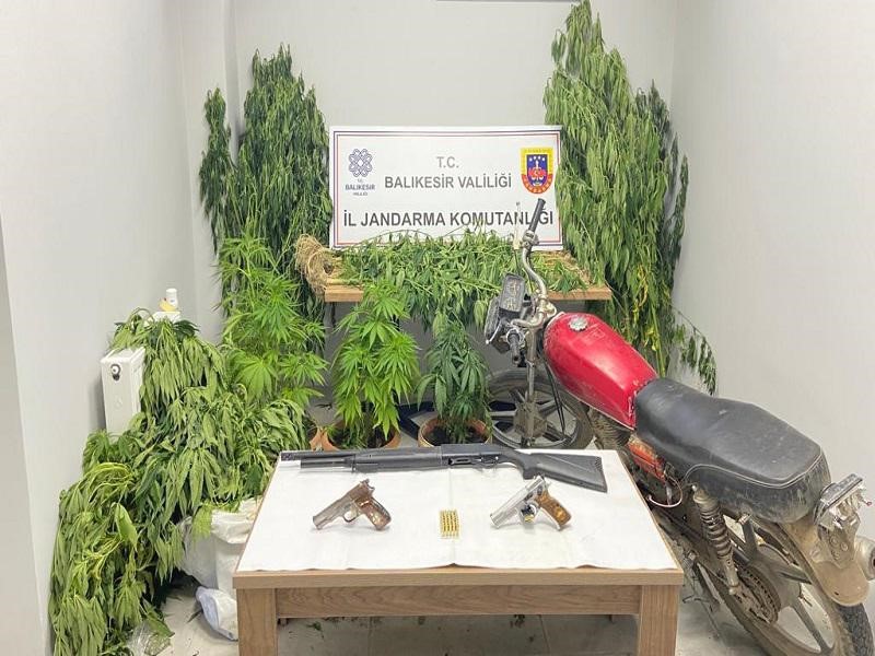 Jandarmadan uyuşturucu operasyonu