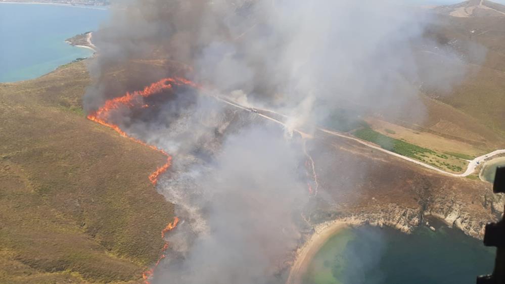 Avşa adasında yangın çıktı
