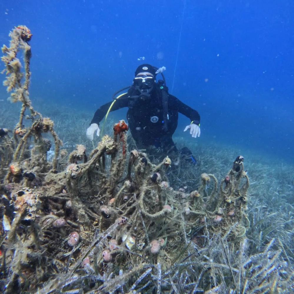 Edremit Körfezi’nde hayalet ağlar temizleniyor