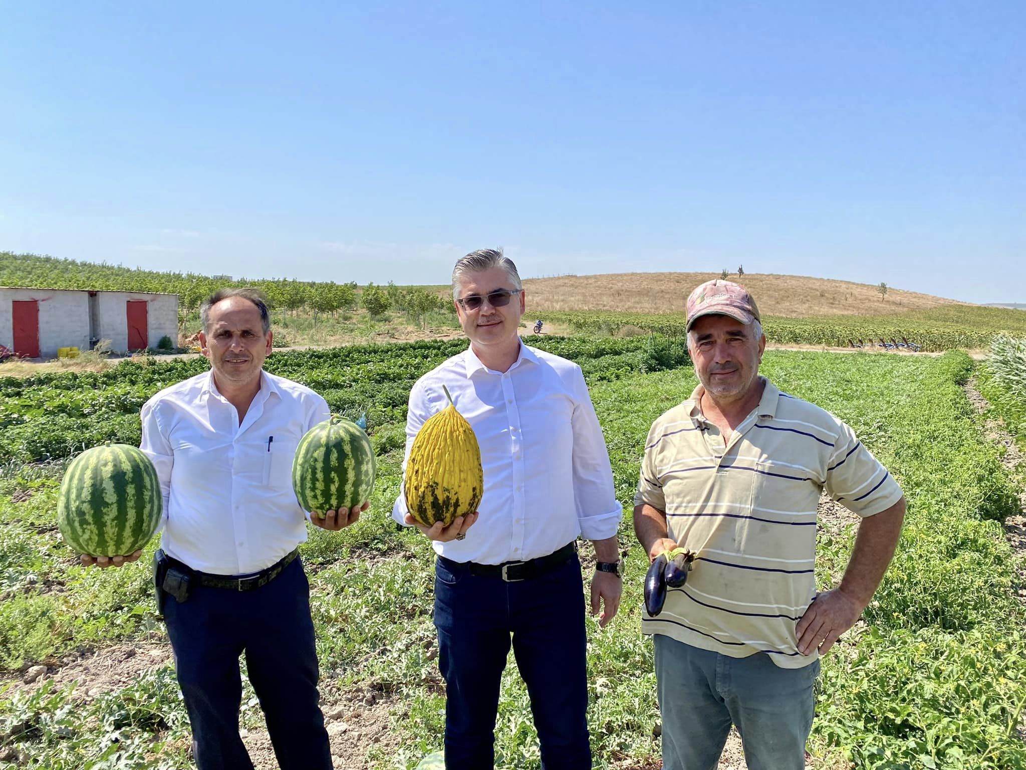 Yerli ve milli sebzelerde hasat başladı