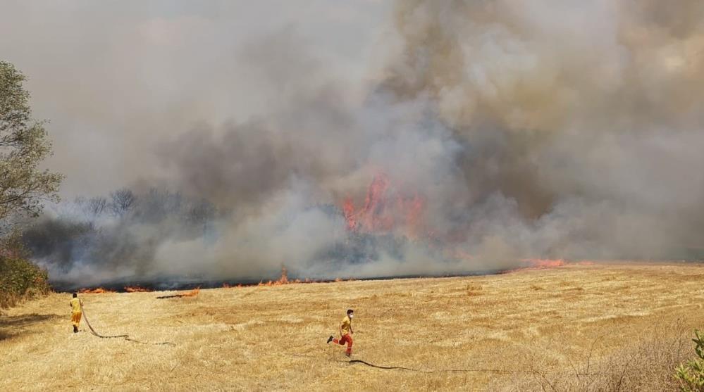 Karakavak mahallesinde orman yangını