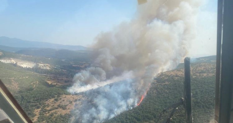 Saman yüklü araçta başlayan yangın, ormana sıçradı
