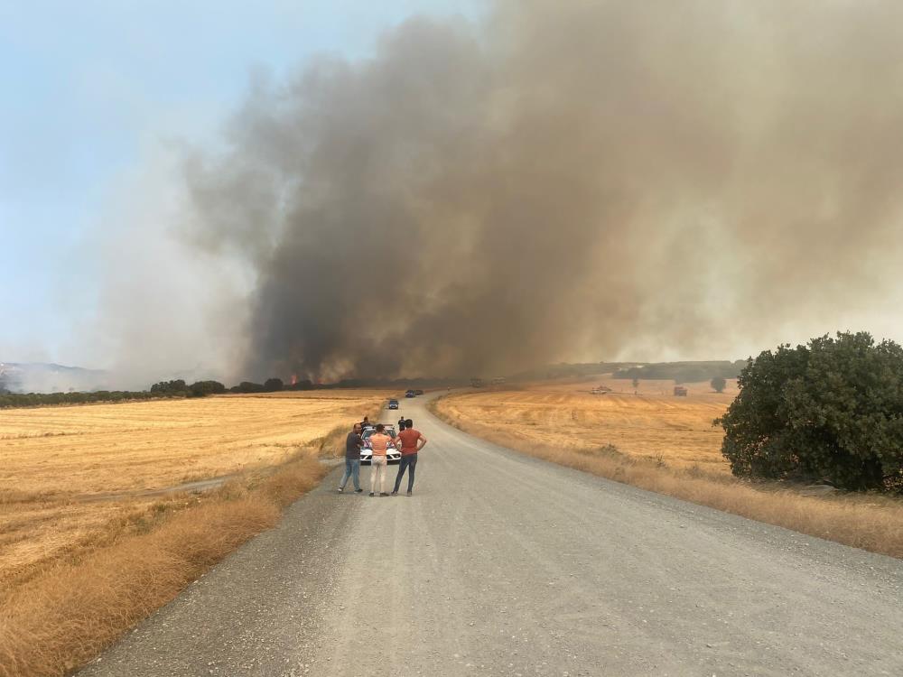 Çanakkale Gelibolu’da da yangın çıktı