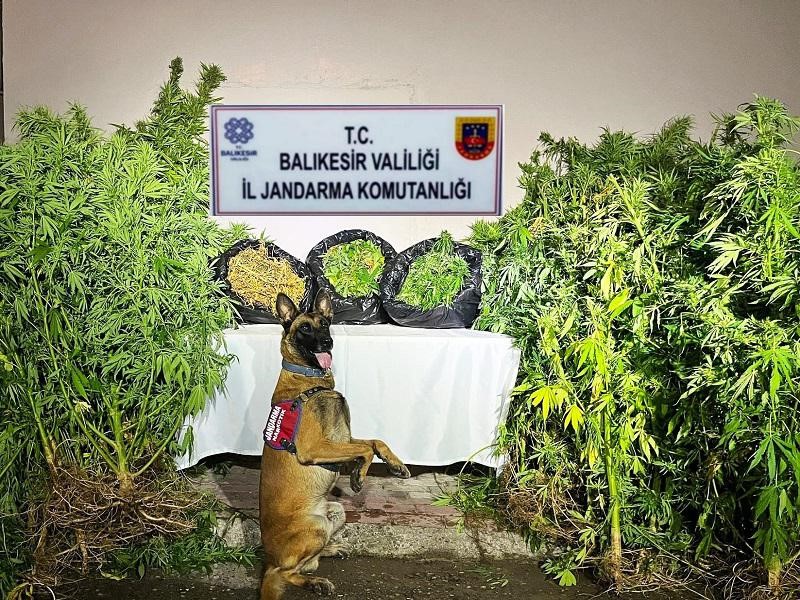 36 gözaltıdan 9’u tutuklandı