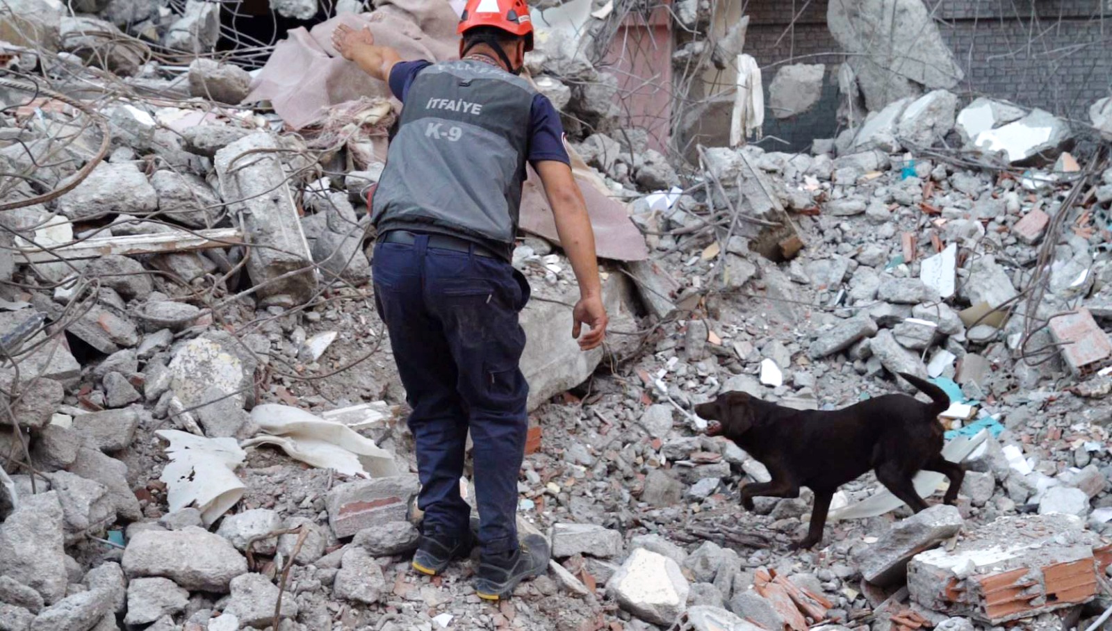 Komando gibi iz sürüp nokta atışı yapıyor