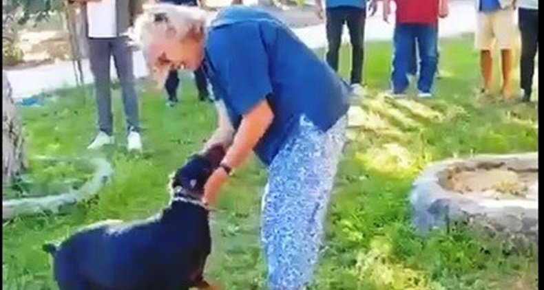 TİNA İLE ANGELA KAVUŞTU... KAYIP EKONOMİST OLAYINDA DUYGU DOLU ANLAR ANGELA'NIN SESLENDİĞİ TİNA, HEYECANDAN YERİNDE DURAMADI KAYIP EKONOMİST BERZEG'İN KÖPEĞİ VE EŞİ 76 GÜN SONRA KAVUŞTU KORHAN BERZEG'İN AKIBETİNE ŞAHİTLİK EDEN TİNA İLK KEZ GÖRÜNTÜLENDİ