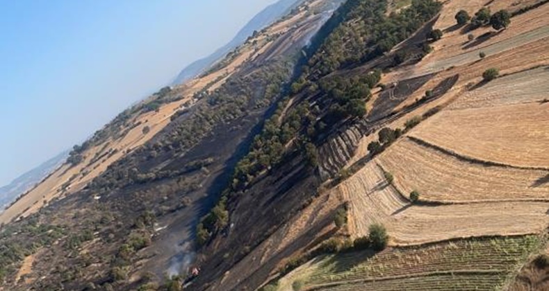 Arazi yangını kontrol altına alındı