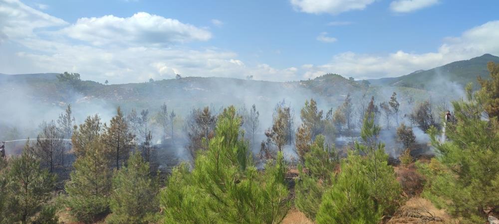 Kazdağları’nda orman yangını