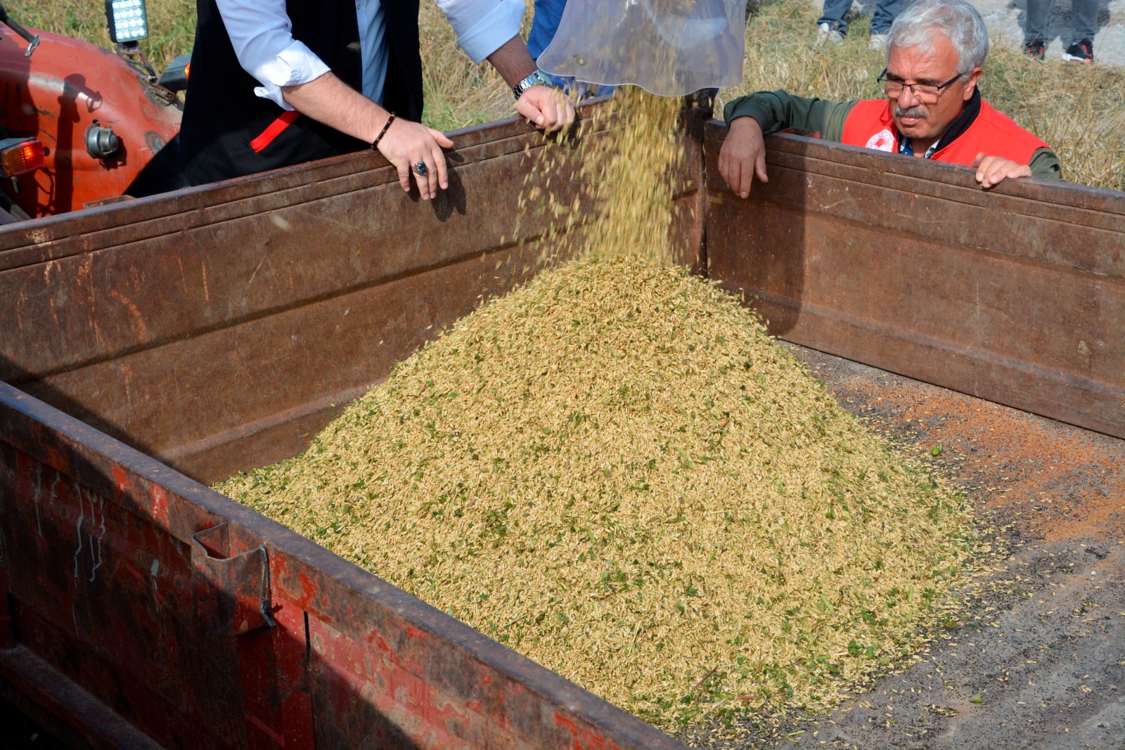 Tarım öğrencileri hasada başladı