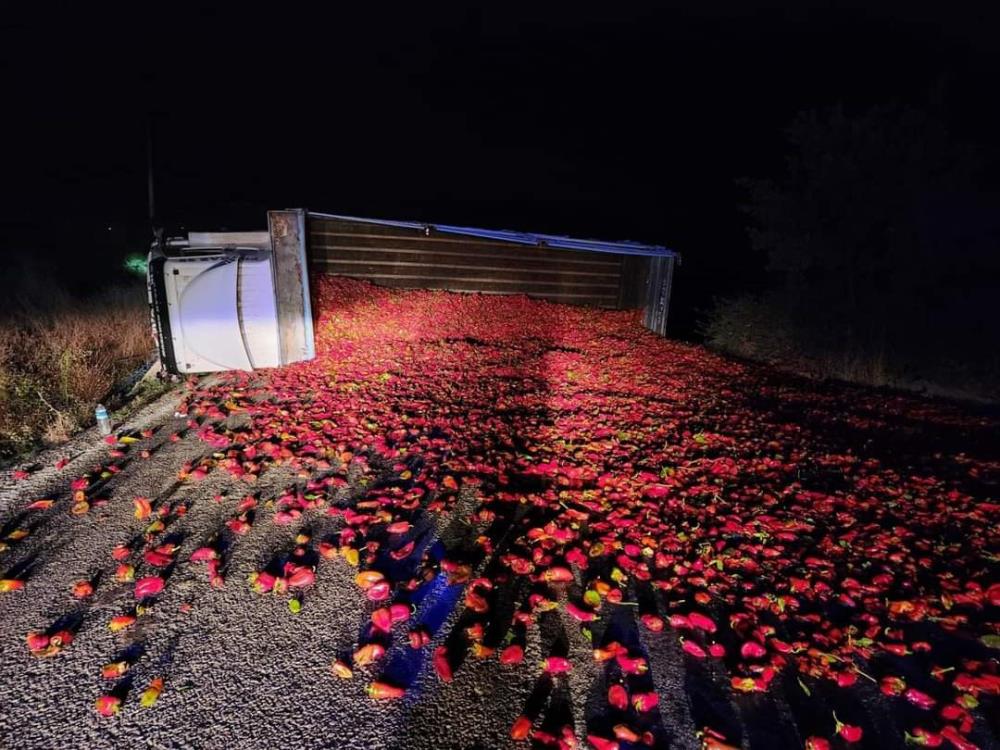Biber yüklü kamyon devrildi, 2 kişi yaralandı