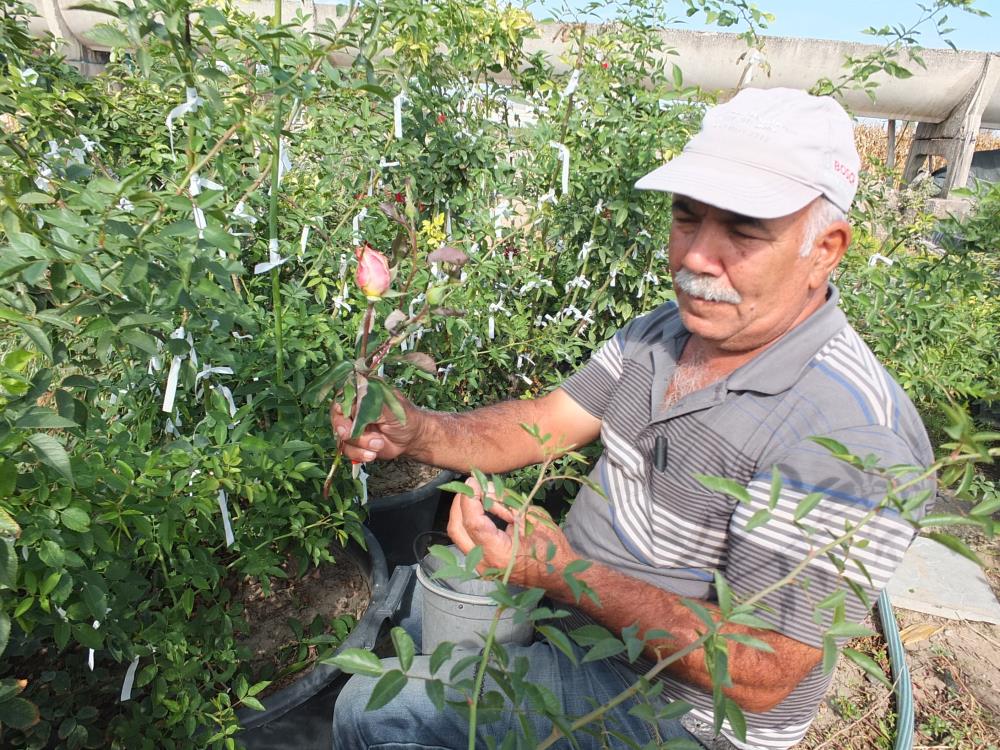 Kendini yeşile adadı, örnek üretici oldu