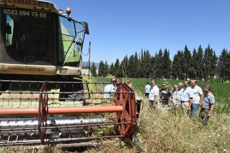 Yerli ve Milli Tohumlar Yaygınlaştırılıyor
