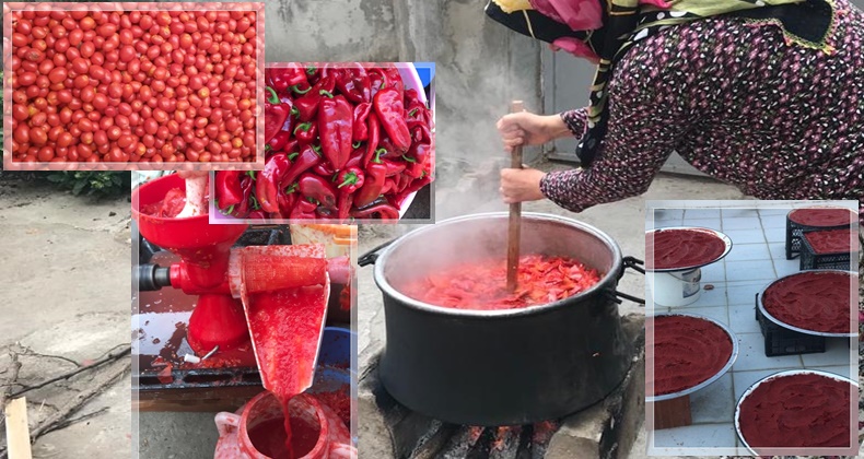 İşin ehlinden salça yapımının püf noktaları