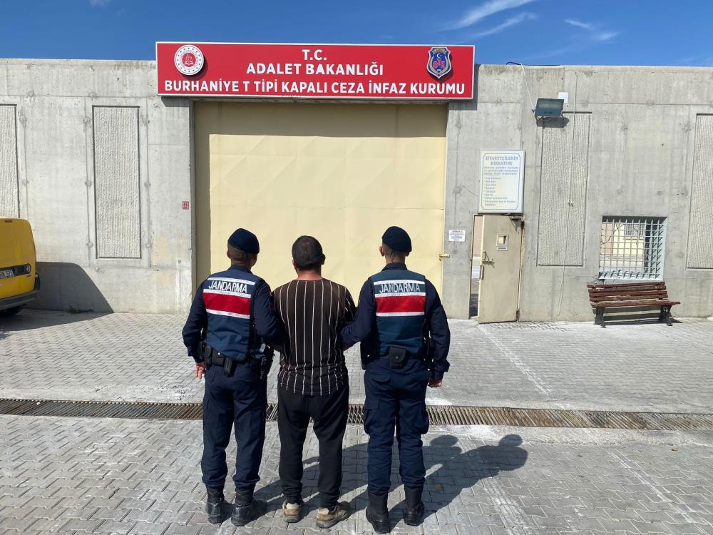 Zeytin çalarken yakalandı