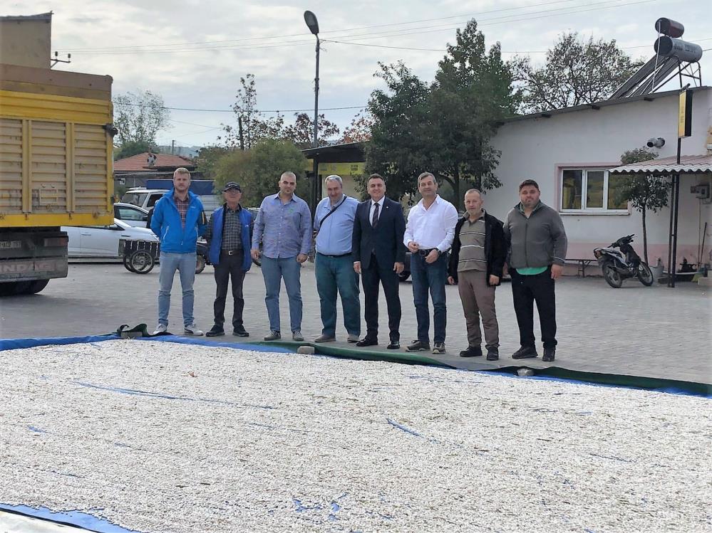 “Manyas Kazak fasulyesinin kıymeti bilinmeli”