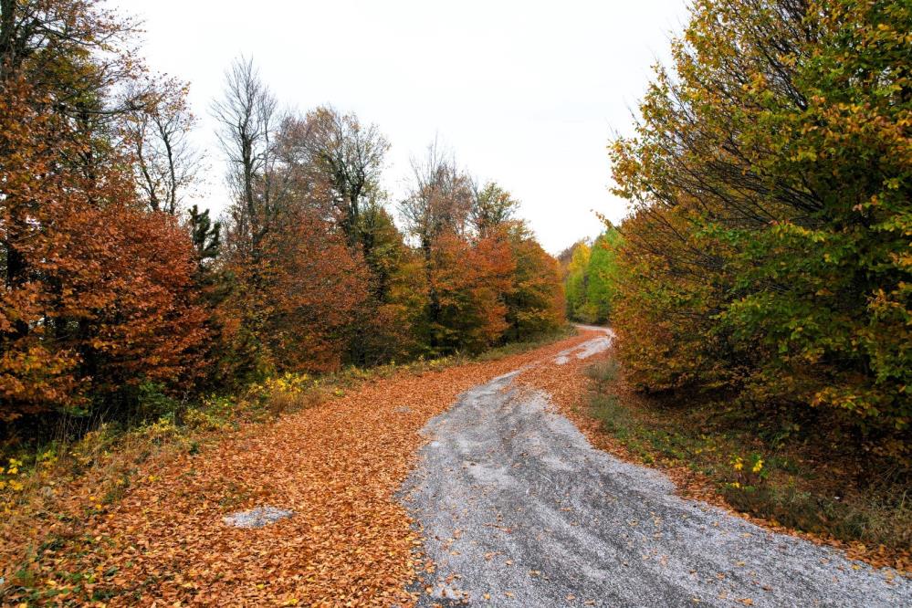 Ulus Dağı’nda sonbahar renkleri ile görsel şölen