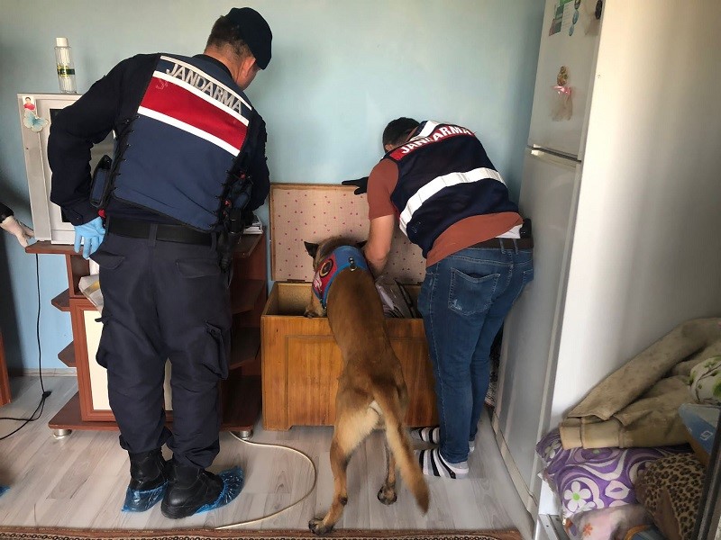 Jandarmadan dev operasyon