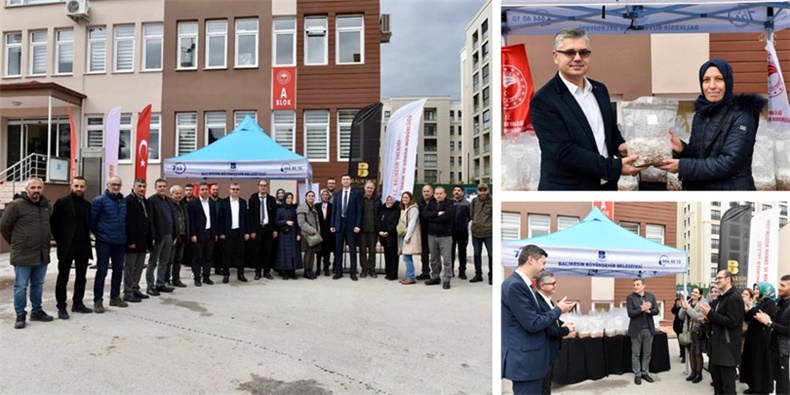 Shiitake ve Arslan Yelesi Mantar Kompostu Dağıtıldı