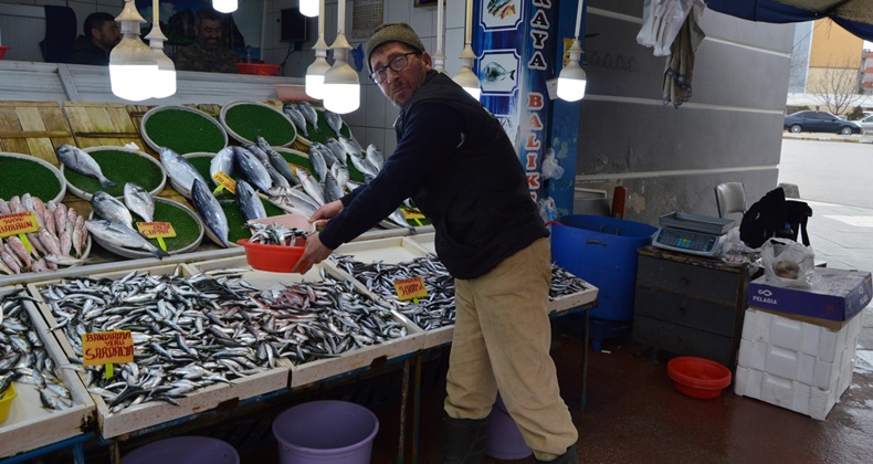 Balık Tezgahları Sardalya İle Dolup Taşıyor