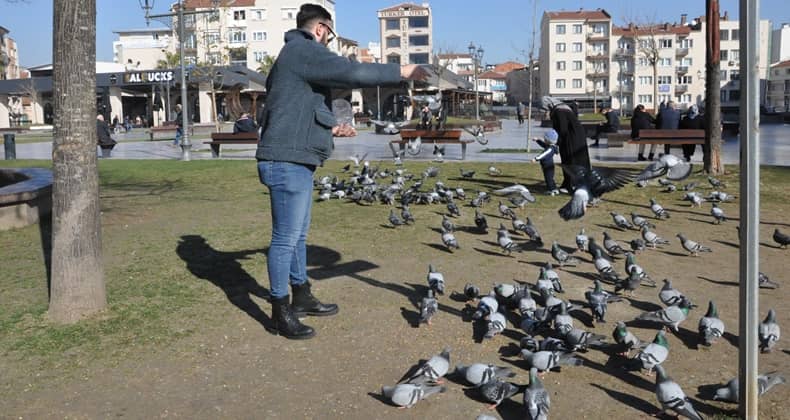 Geleneksel Yem Şöleni