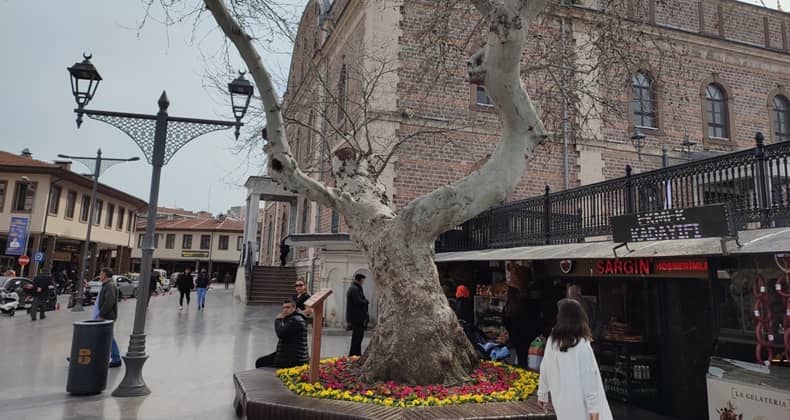 Doğanın Eşsiz Mirası