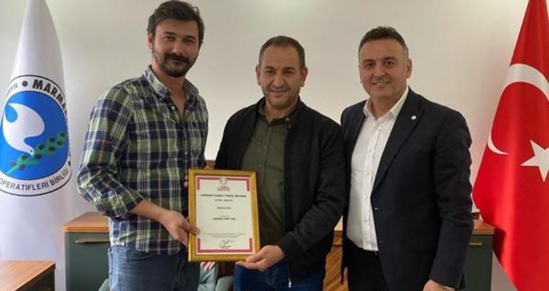 EDİNCİK ZEYTİNİ COĞRAFİ İŞARET ALDI