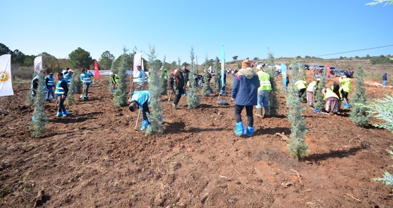 Ormancılık Günü’nde Yüzlerce Fidan Dikildi