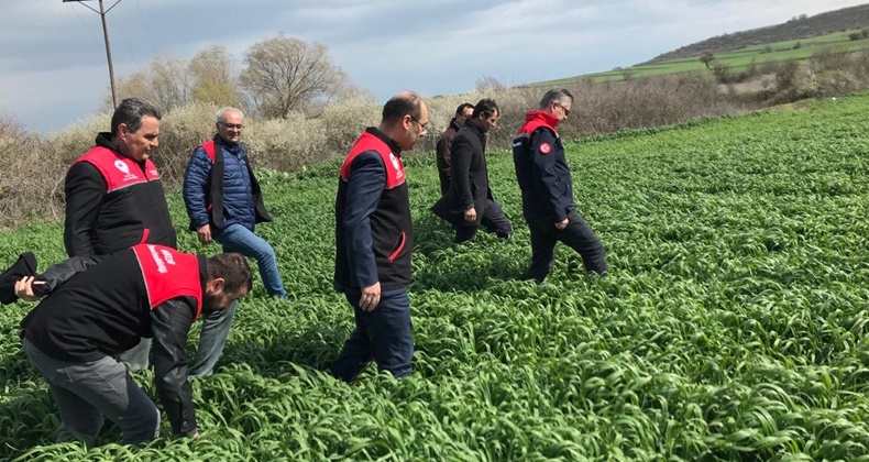 Yerli ve milli tohum Kayra’nın gelişim aşamaları incelendi