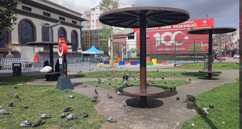 Güvercinler ve İnsanlar İçin Ortak Alan