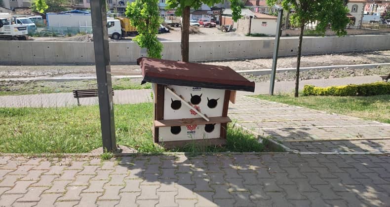 Kedi Kulübesi
