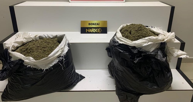 Çay dediler, bonzai çıktı
