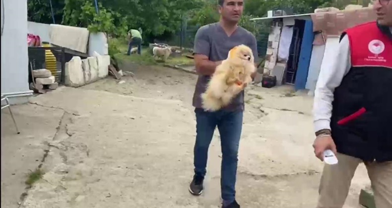 Jandarmadan kaçak hayvan ticareti yapılan çiftliğe operasyon