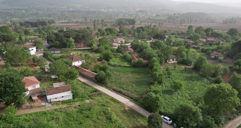 korhan berzeg