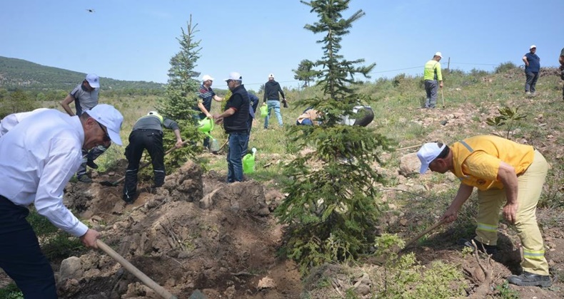 30 bin fidan toprakla buluştu