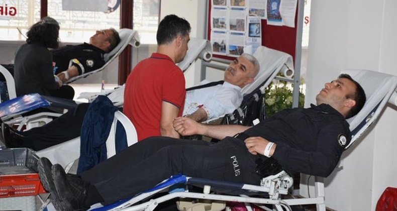 yiğit