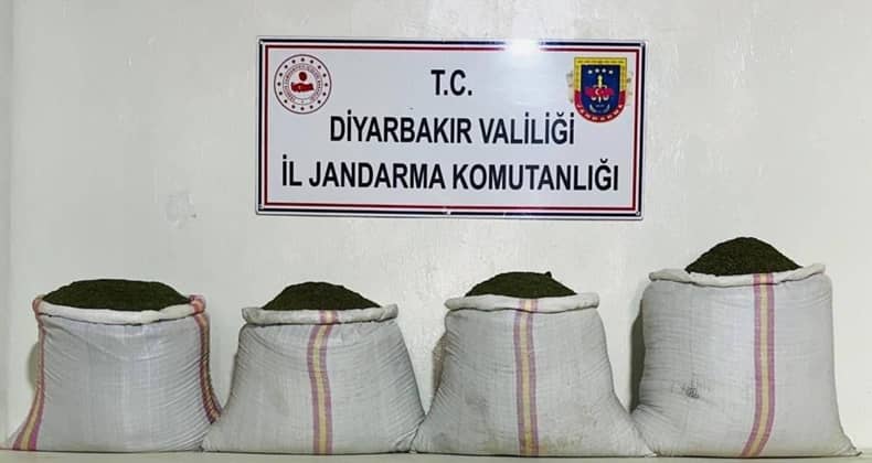 Diyarbakır'da 34 Bin 500 Kök Kenevir ve 112 Kilo Esrar Ele Geçirildi