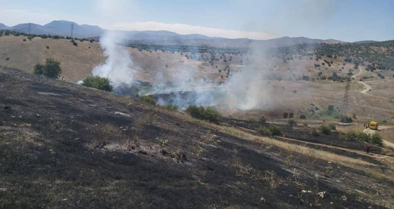 Elazığ’da Ot Yangını