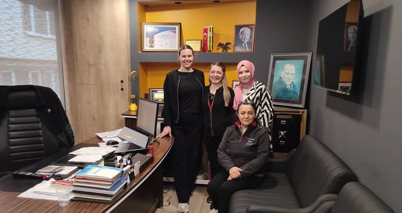 Profesyonel Hizmet ve Kullanıcı Bilinci