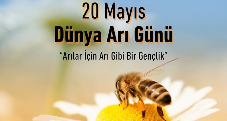 “Arı popülasyonunun devamı için önlemler alınmalı”