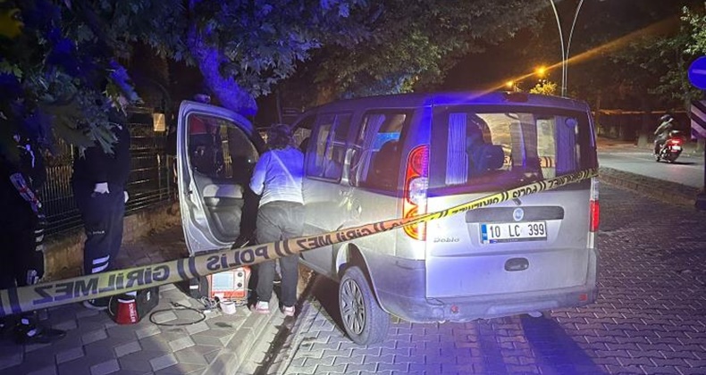 Ağaca çarpan ticari araç sürücüsü hayatını kaybetti